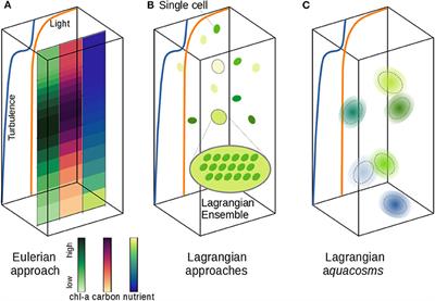 Stirring, Mixing, Growing: Microscale Processes Change Larger Scale Phytoplankton Dynamics